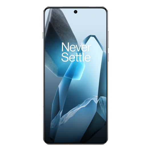OnePlus 13 16/512Gb Dual nano Sim Синий Global