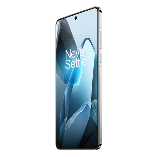 OnePlus 13 16/512Gb Dual nano Sim Синий Global